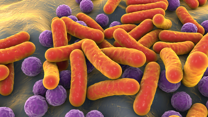 What is the Skin Microbiome? (And Why You Should Know)